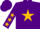 Silk - Purple, gold star, black band and gold stars on sleeves, purple cap