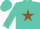 Silk - Turquoise, brown 'rs' in brown star
