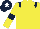 Silk - Yellow, dark blue epaulets and armlets, dark blue cap, white star