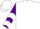 Silk - White, purple crown, purple sleeves, white chevrons, white cap, purple crown