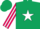 Silk - Hunter green, fuchsia blocks, white star stripe on sleeves