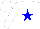 Silk - White, blue star,  white cap