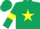 Silk - Dark green, yellow star and armlets