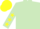 Silk - Light green, yellow stars on sleeves, yellow cap