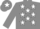 Silk - Grey, white stars, grey cap, white star
