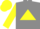 Silk - Grey, yellow triangle, yellow sleeves, yellow cap