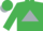 Silk - Emerald green, silver triangle, silver peak on cap