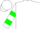Silk - White, green centaur emblem, green bars on sleeves