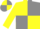 Silk - Yellow and grey quarters, yellow sleeves
