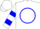 Silk - White, blue circle  'c', blue bars on sleeves