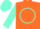 Silk - Orange, aqua circle and 'cl', aqua sleeves, two orange hoops, aqua cap