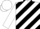 Silk - White and black diagonal stripes, black band on sleeves