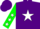 Silk - Purple, white star, green sleeves, white stars, purple cap