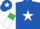 Silk - Royal blue, white star, white sleeves, emerald green armlets, royal blue cap, white star
