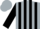 Silk - Silver, black blocks, silver horse emblem, black stripes on sleeves, silver cap