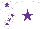 Silk - White, purple star, purple stars on sleeves, purple star on cap
