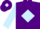 Silk - Purple, light blue diamond, sleeves and diamond on cap