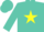 Silk - Turquoise, green and yellow belt, yellow star