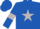 Silk - Royal blue, light grey star and armlets