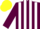 Silk - Maroon and white stripes, yellow cap