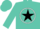 Silk - Turquoise, white circle,  black star, turquoise cap