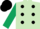 Silk - Light green, black spots, dark green sleeves, black cap