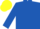 Silk - Royal blue, yellow fmc logo, royal blue sleeves, yellow footprints on sleeve, yellow cap