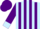 Silk - Light blue, purple stripes, light blue cuffs on purple sleeves, purple cap