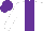Silk - White, purple panel, purple cap