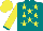 Silk - Teal, yellow stars, teal cuffs on yellow sleeves, yellow cap