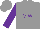 Silk - Grey, purple ''v w'', purple sleeves, grey cap