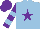 Silk - Light blue, purple star, light blue bars on purple sleeves, purple cap
