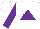 Silk - White triangle, purple triangle, 'm/m' in horsehoe, purple sleeves