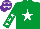 Silk - Emerald green, white star, emerald green sleeves, white stars, purple cap, white stars