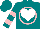 Silk - Teal, pink circle, pink and white heart, two pink hoops on sleeves, teal cap