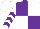 Silk - Purple and white quarters, purple chevrons on white sleeves, purple and white cap