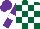 Silk - Forest green and white blocks, white band on purple sleeves, purple cap