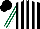 Silk - Black and white stripes, dark green and white striped sleeves