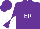 Silk - Purple, white 'er' in white tree emblem, purple and white diagonal quartered sleeves, purple cap
