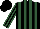 Silk - Black, hunter green stripes, hunter green stripes on sleeves, black cap