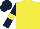 Silk - yellow, dark blue sleeves, yellow armlets, dark blue cap