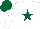 Silk - White, dark green star and cap
