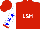Silk - Red front, blue back with white 'l&m', white sleeves with blue stars, red cuffs
