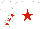 Silk - White, red star, white rockin teepee brand, red stars on sleeves