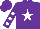 Silk - Purple, white star, white dots on sleeves