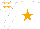 Silk - White body, orange star, white arms, white cap, orange stars