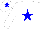 Silk - White body, blue-light star, blue-light arms, white stars, white cap, blue-light star