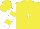 Silk - Yellow, white 'pp,' yellow bars on white slvs