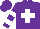 Silk - Purple, white cross, white hoops on sleeves
