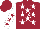 Silk - Maroon, white stars, white't/s' white sleeves, maroon stars